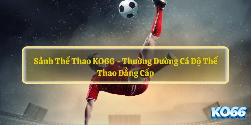 sảnh the thao Ko66